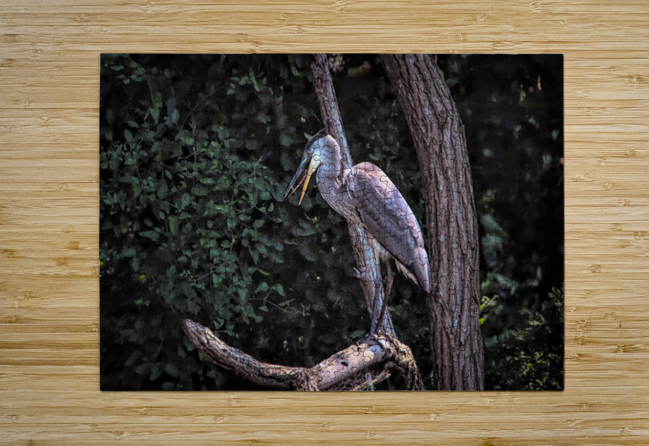 Great Blue Yawning Karen Silvestri Puzzle printing