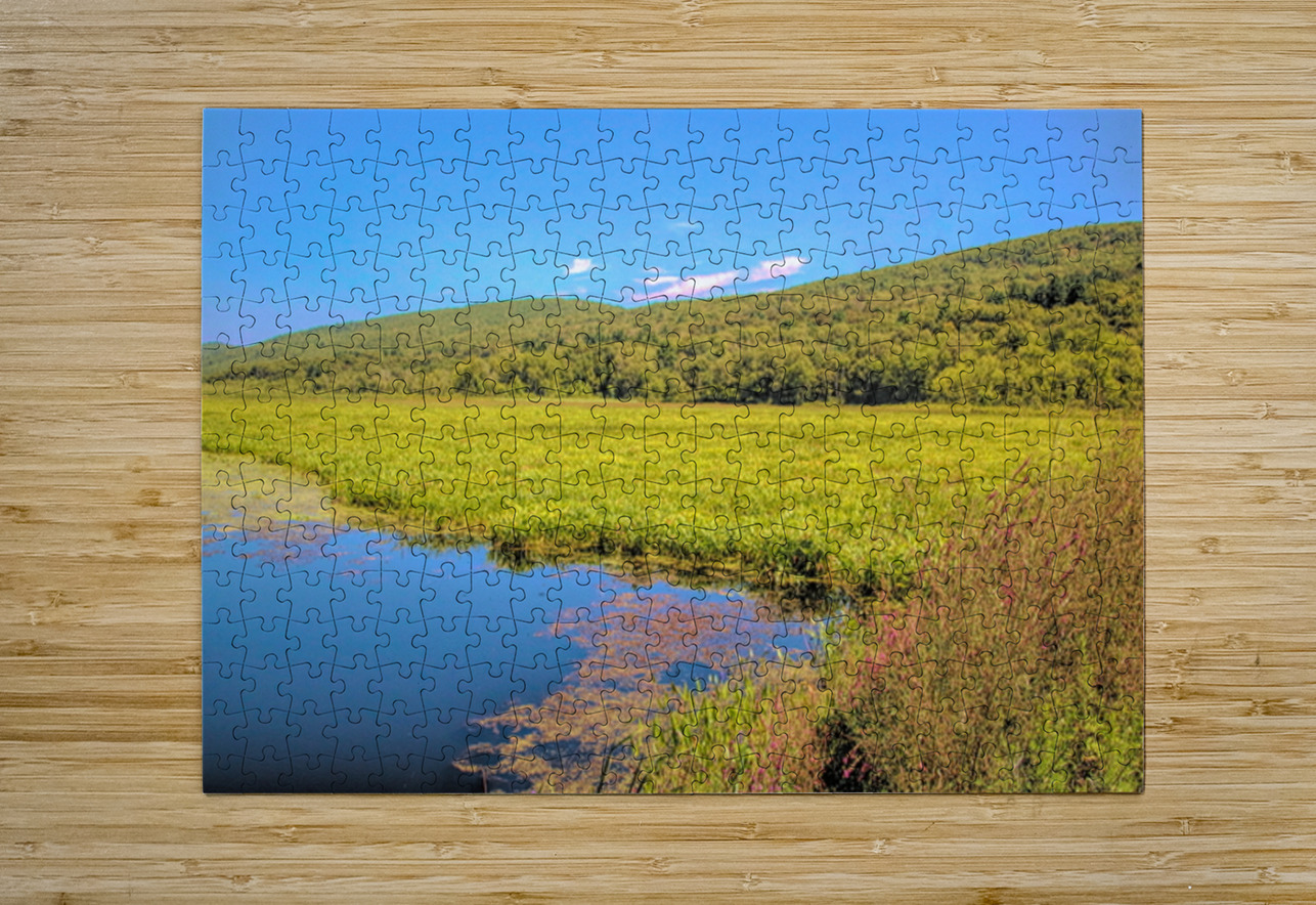 Basha Kill Karen Silvestri Puzzle printing