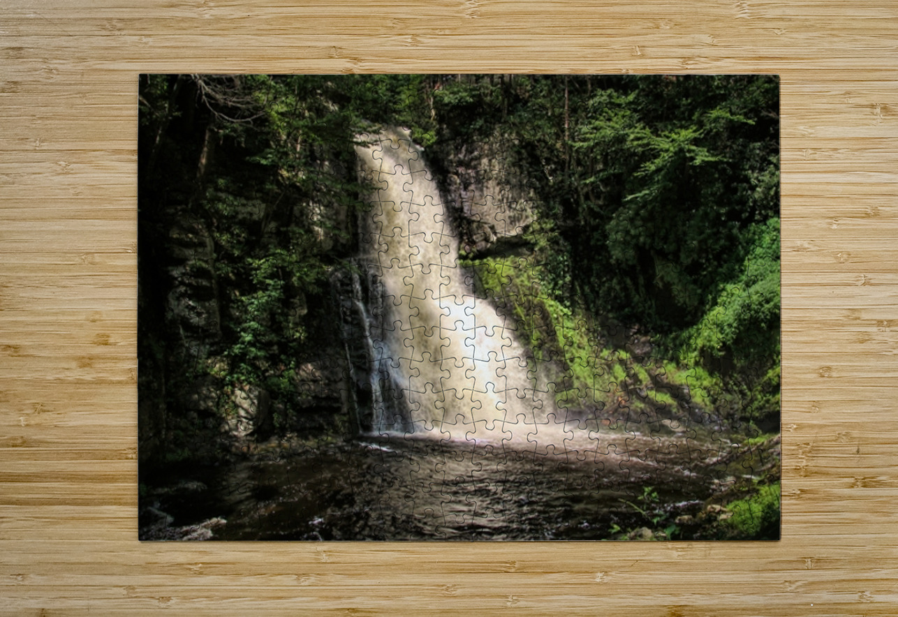Bushkill Falls  Karen Silvestri Puzzle printing