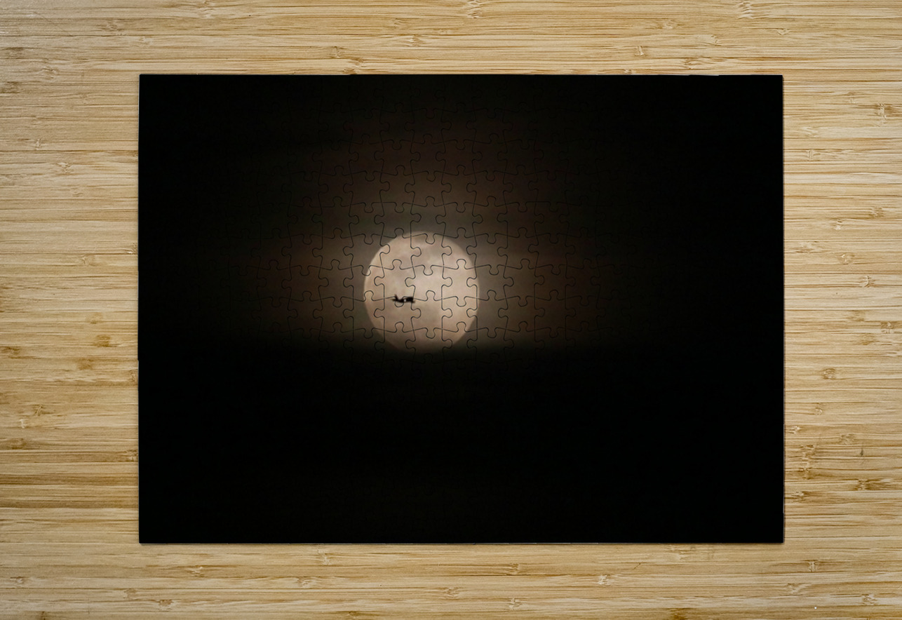 Fly Me To The Moon Karen Silvestri Puzzle printing