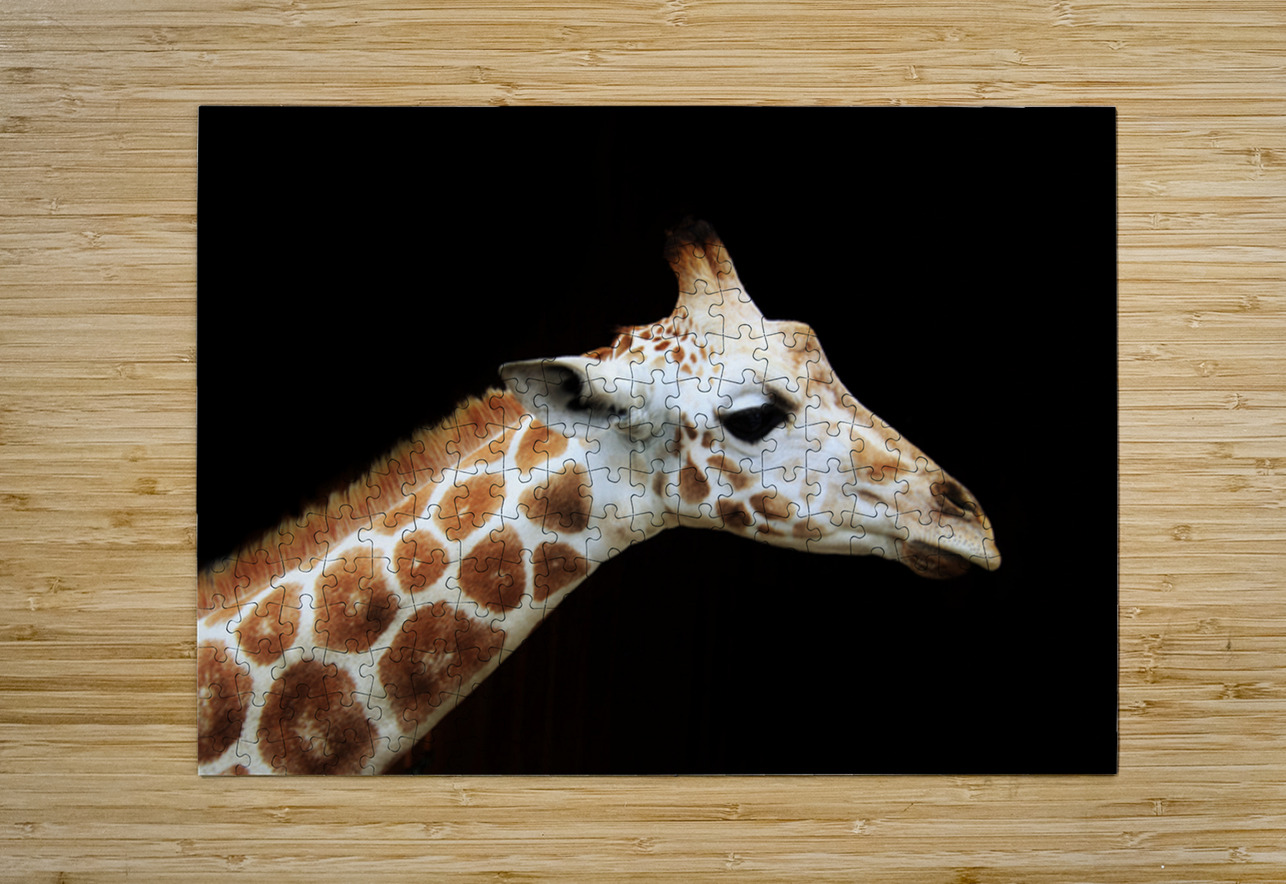 Ollie Giraffe Karen Silvestri Puzzle printing