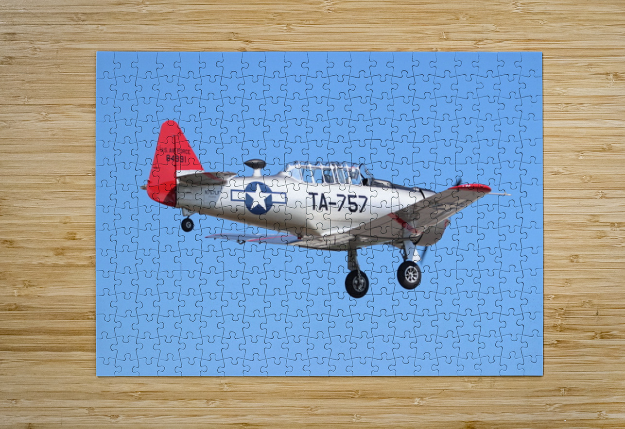 AT 6 Texan Karen Silvestri Puzzle printing