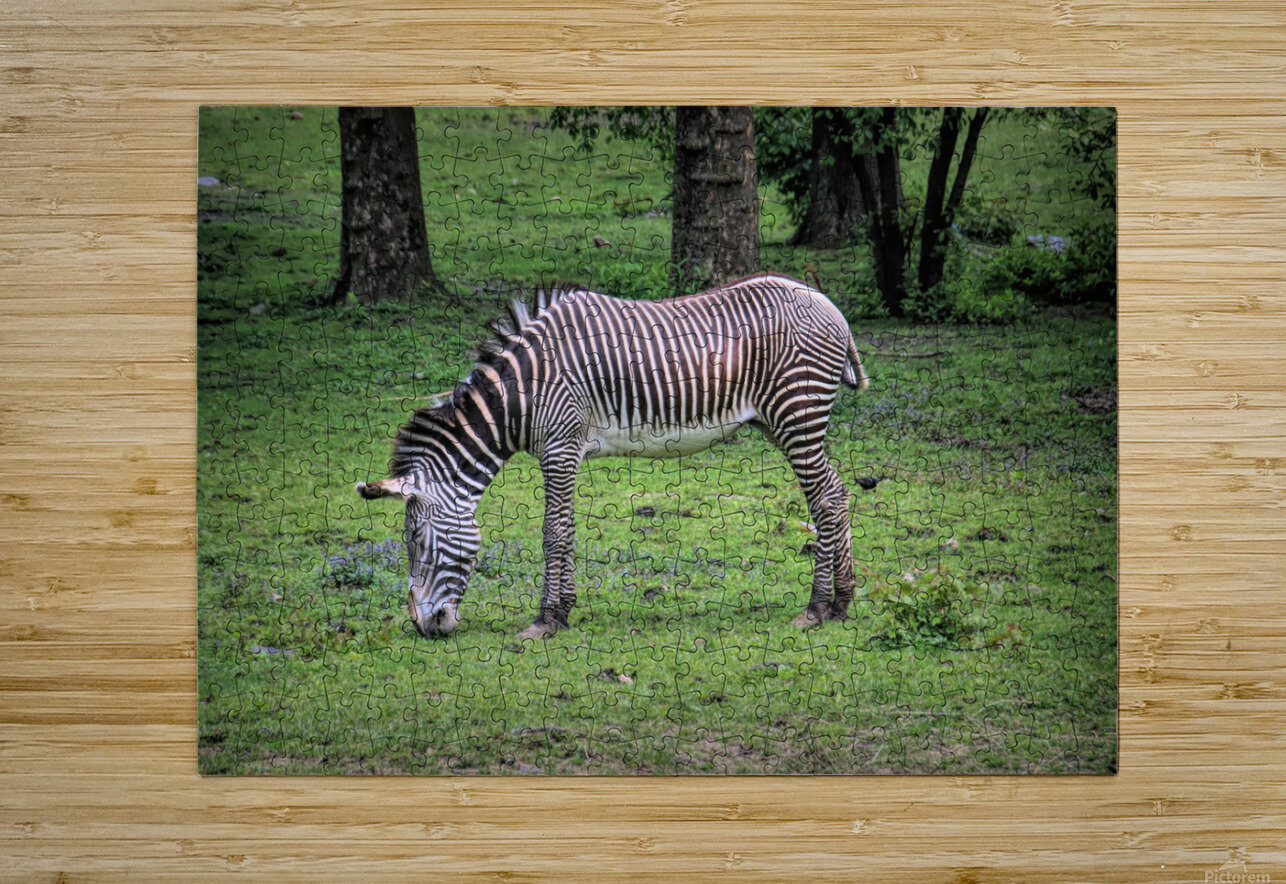 Sleeping While Standing Karen Silvestri Puzzle printing