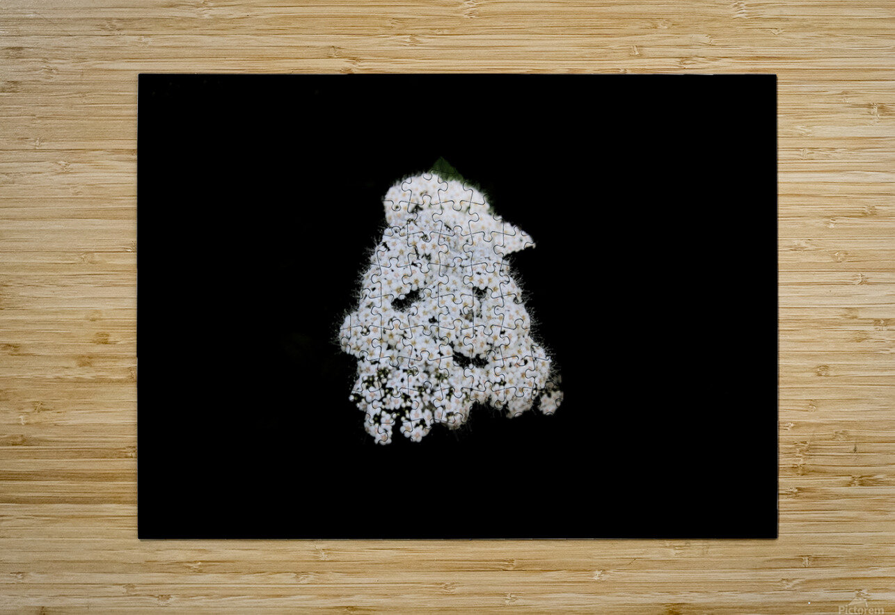 The Happy Flower Karen Silvestri Puzzle printing