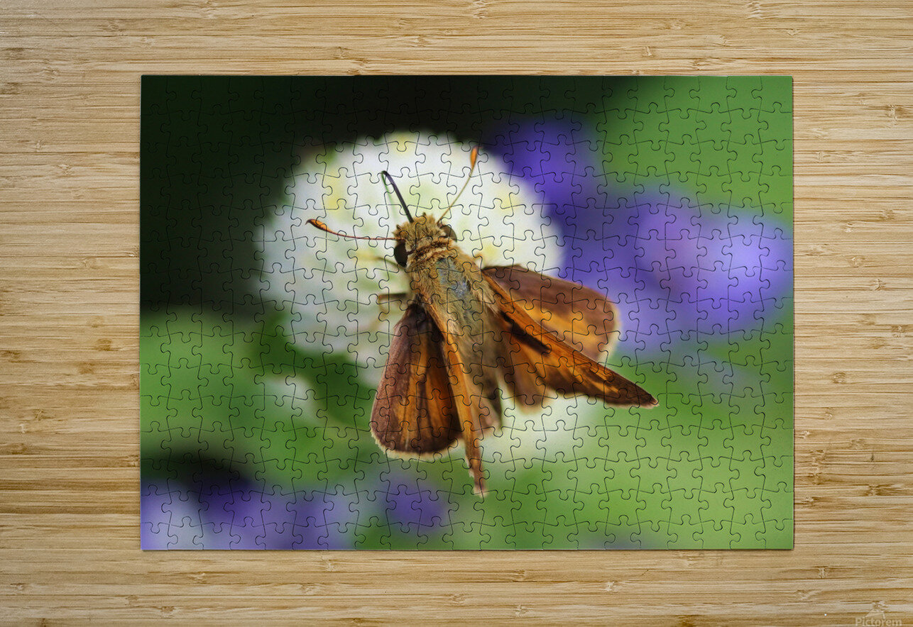 Delaware Skipper Karen Silvestri Puzzle printing