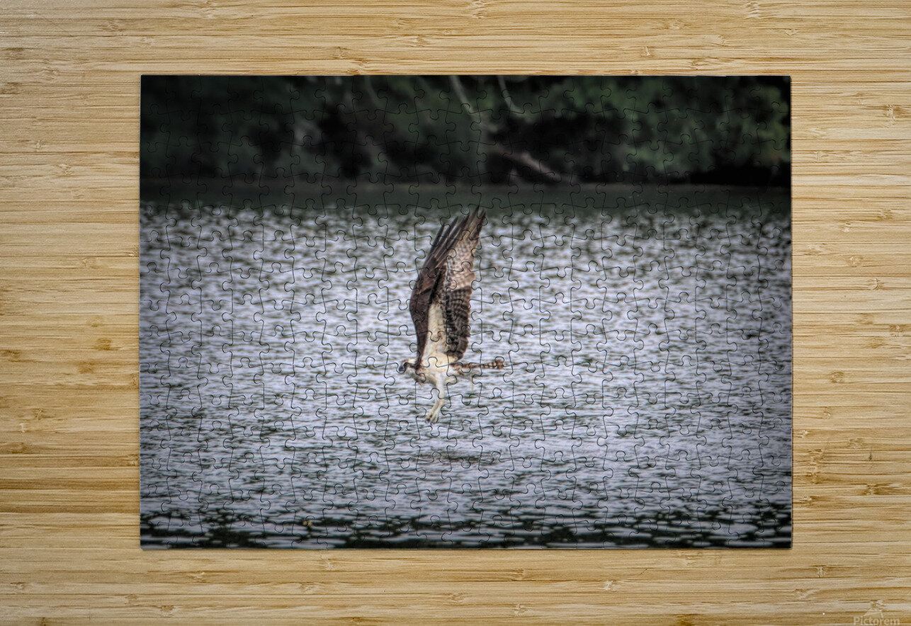 What Will The Osprey Catch Karen Silvestri Puzzle printing
