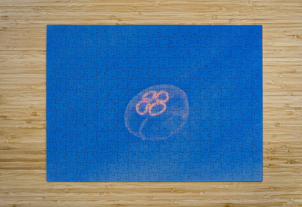 Jellyfish Karen Silvestri Puzzle printing