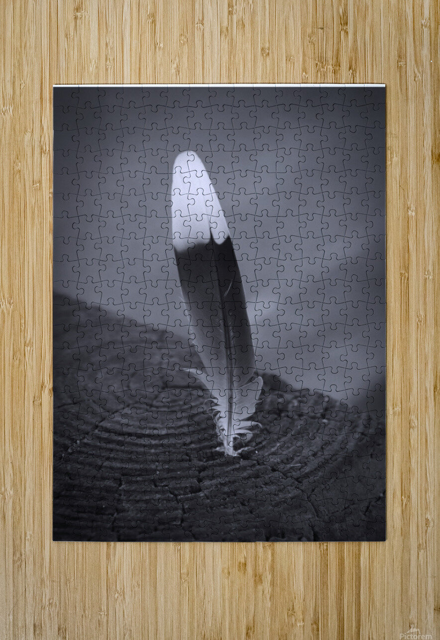 Black and White Feather Karen Silvestri Puzzle printing