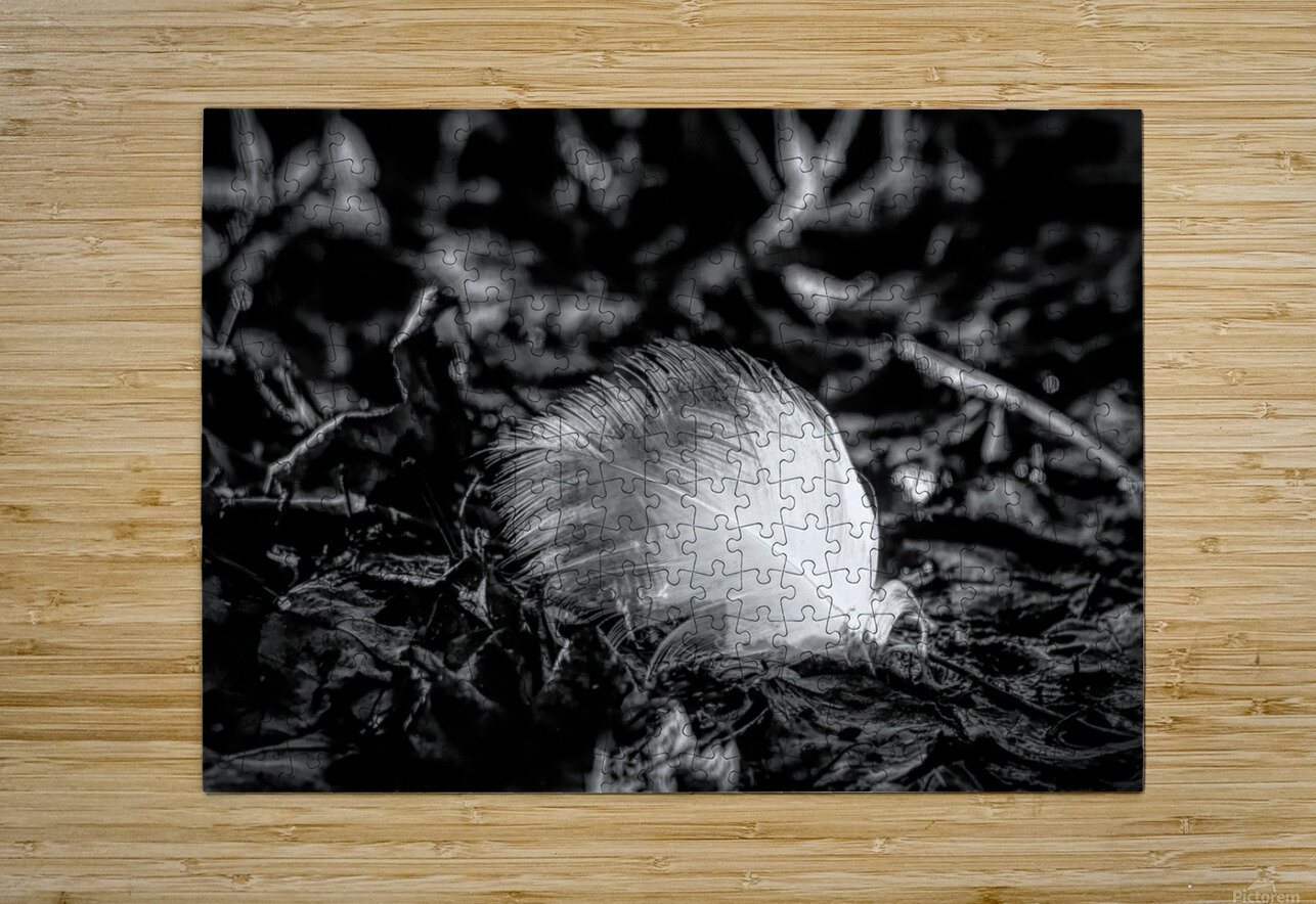White Feather Karen Silvestri Puzzle printing