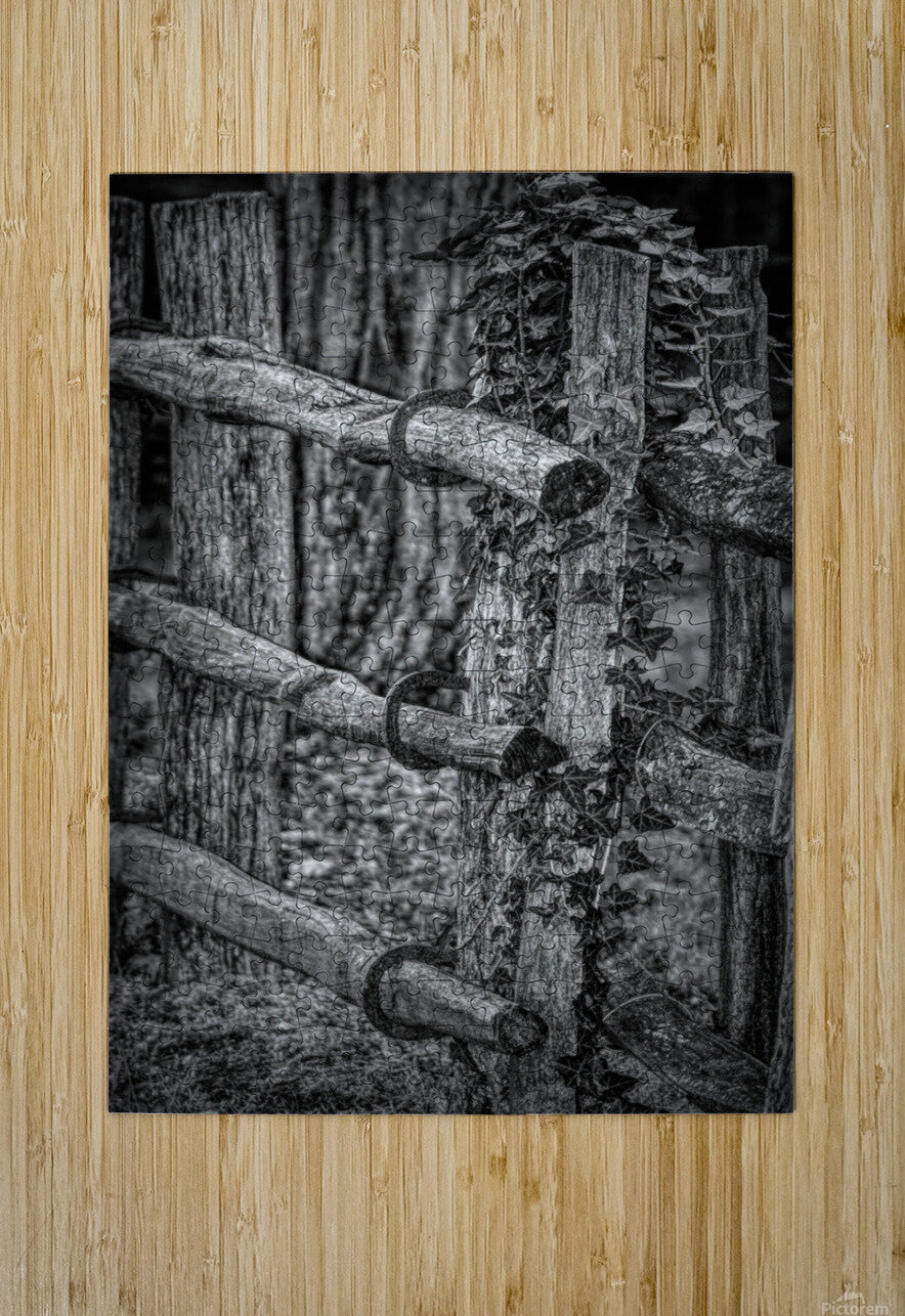 Horseshoe Fence In Black and White Karen Silvestri Puzzle printing