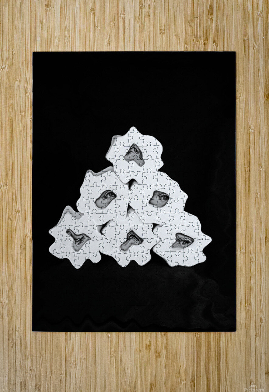 Toilet Paper Thief Karen Silvestri Puzzle printing