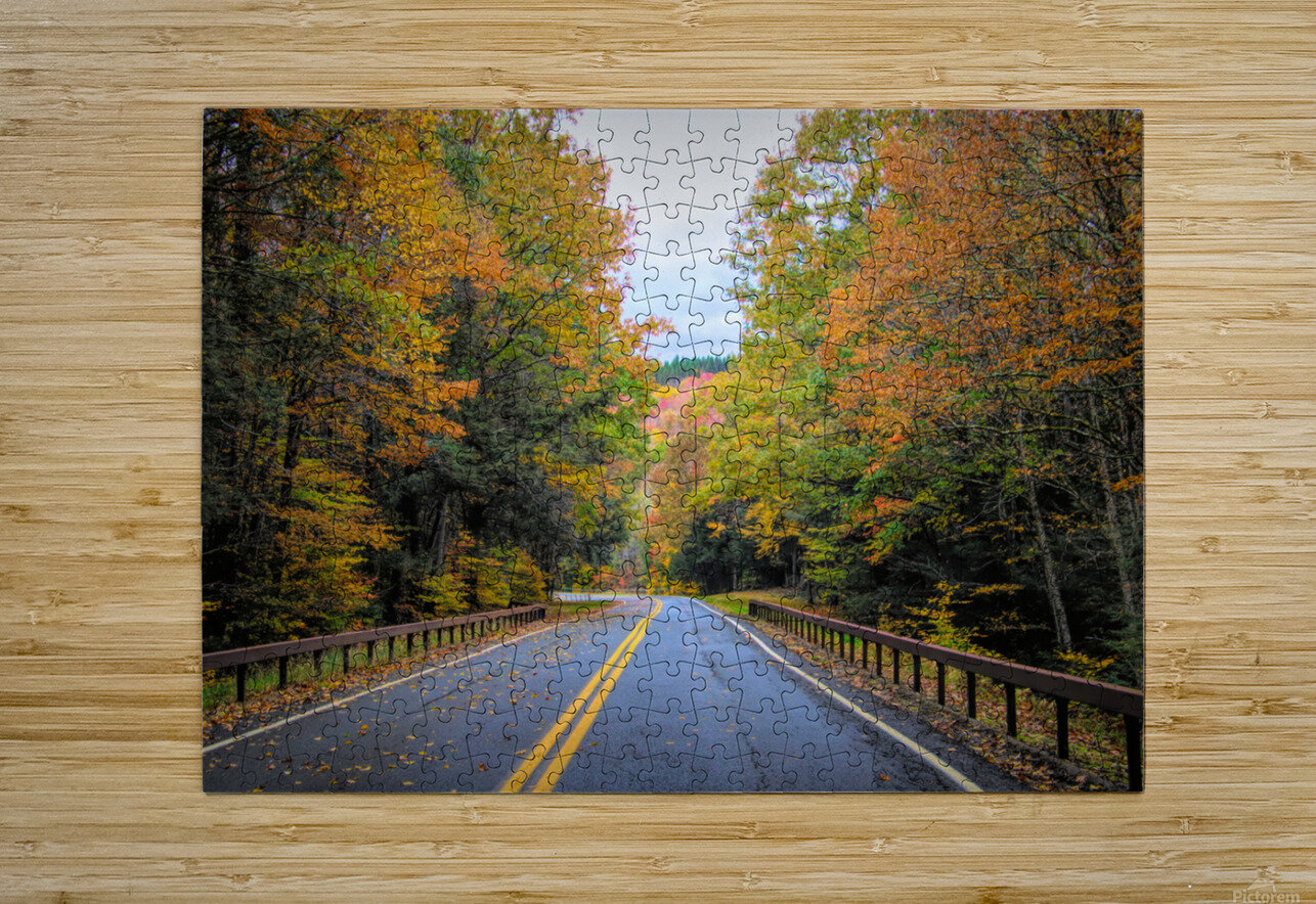 Road Along The Neversink Reservoir Karen Silvestri Puzzle printing