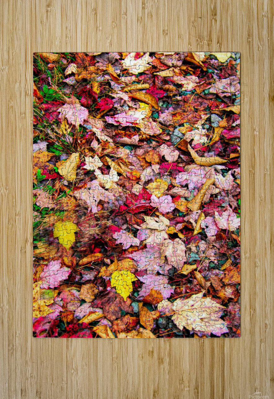 Leaves On The Neversink  Karen Silvestri Puzzle printing
