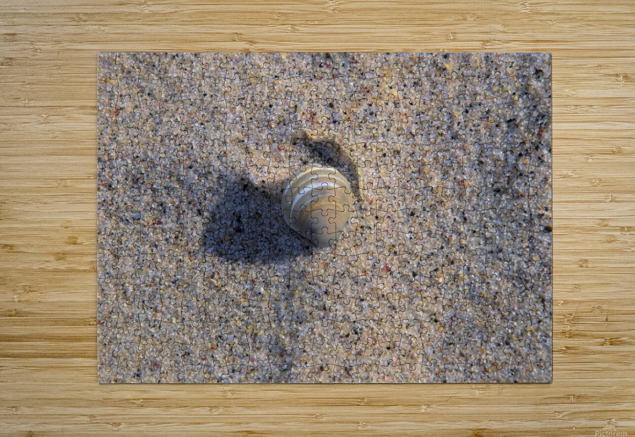 Solo Shell Karen Silvestri Puzzle printing