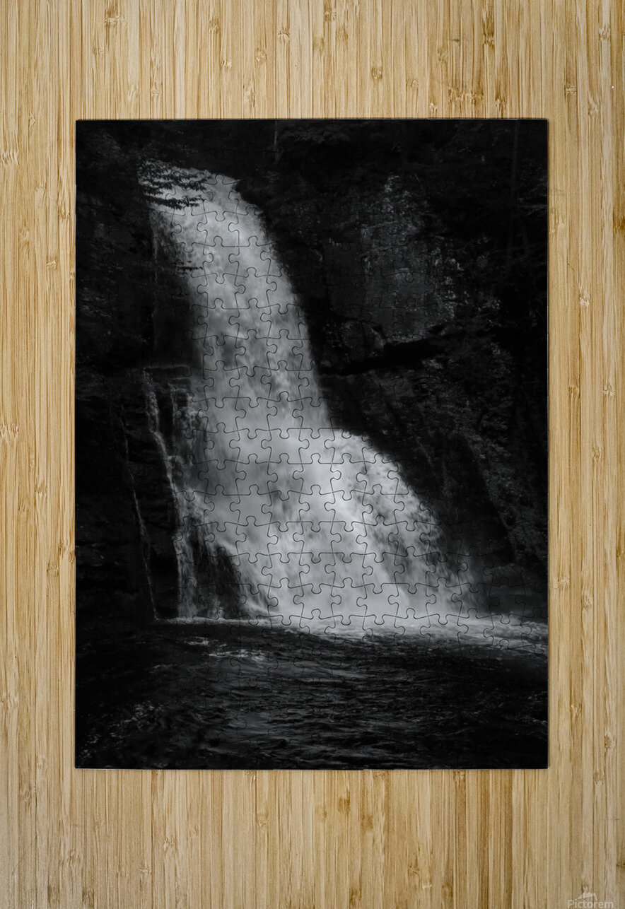 Bushkill Falls In Black and White Karen Silvestri Puzzle printing