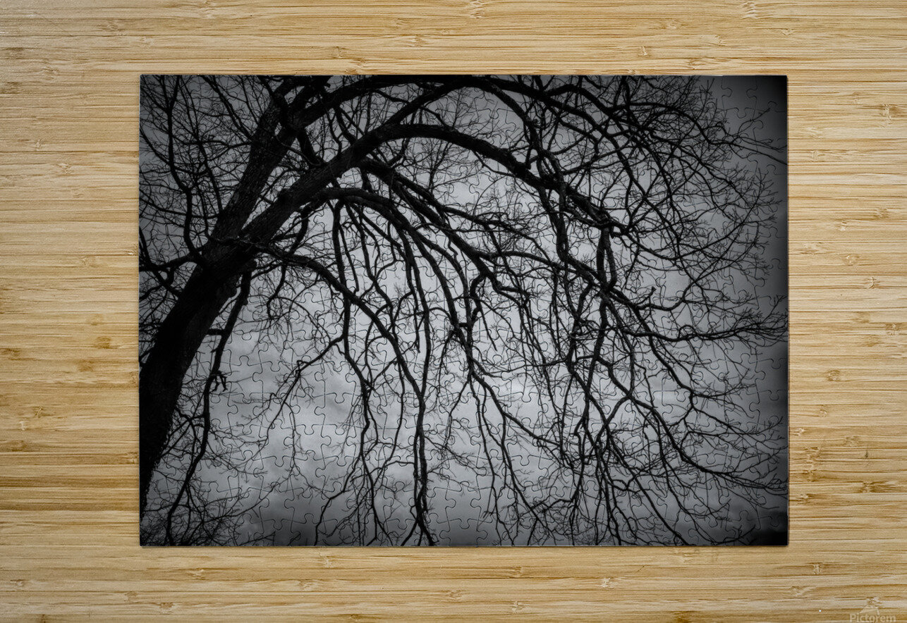 The Naked Tree Silhouette Karen Silvestri Puzzle printing