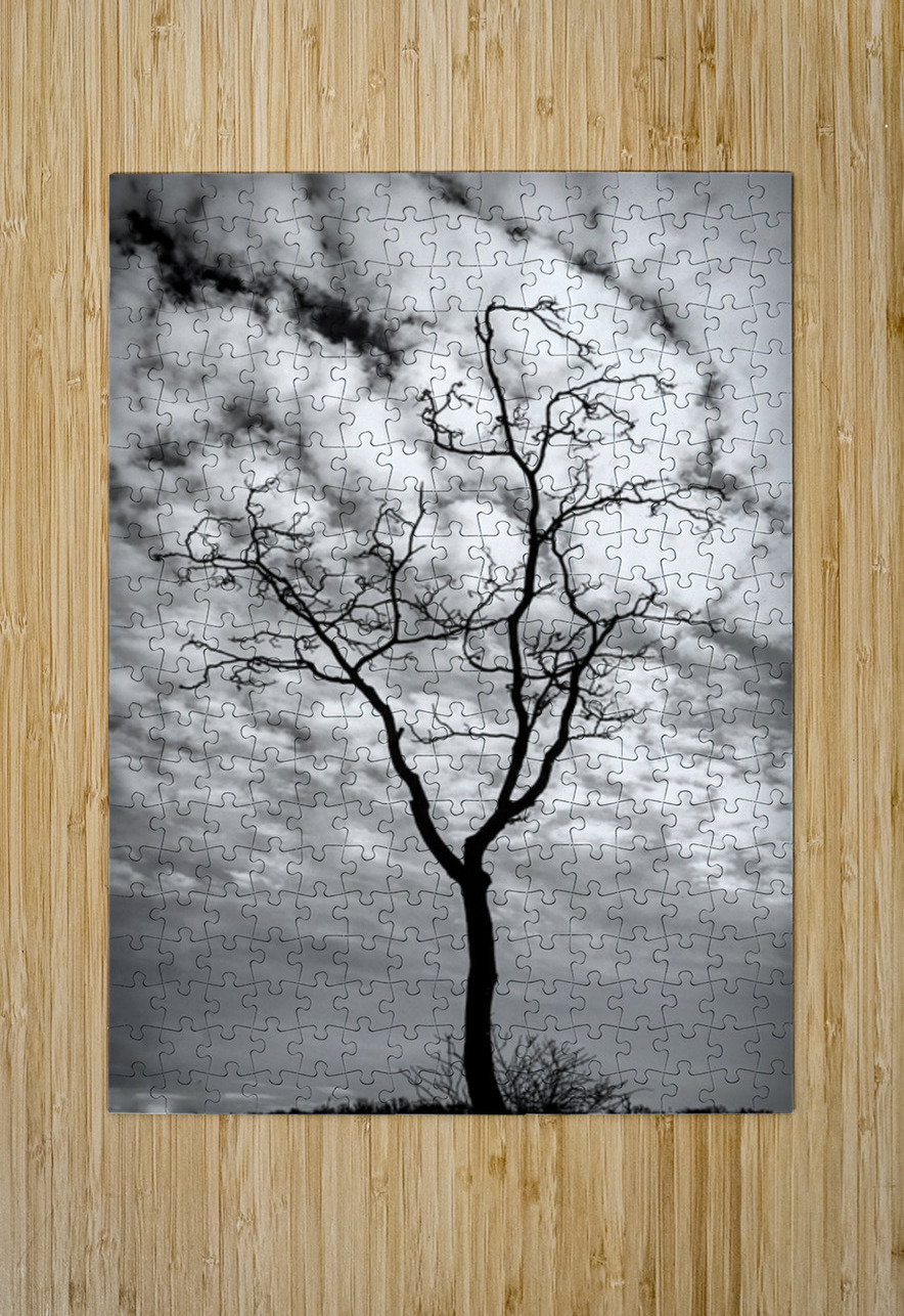 A Snag In Black and White Karen Silvestri Puzzle printing