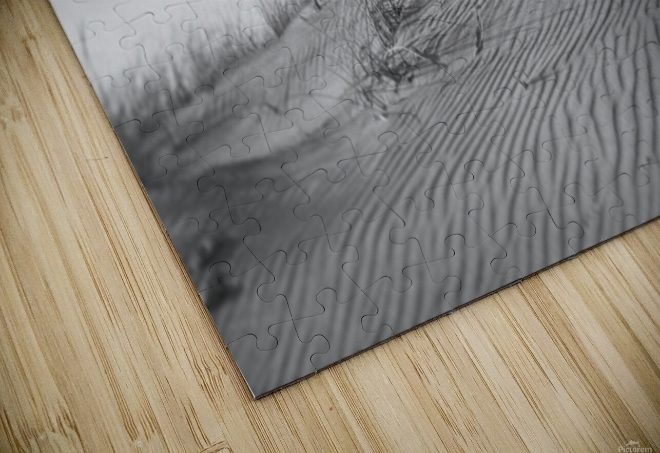 The Dunes In Black and White Karen Silvestri Puzzle