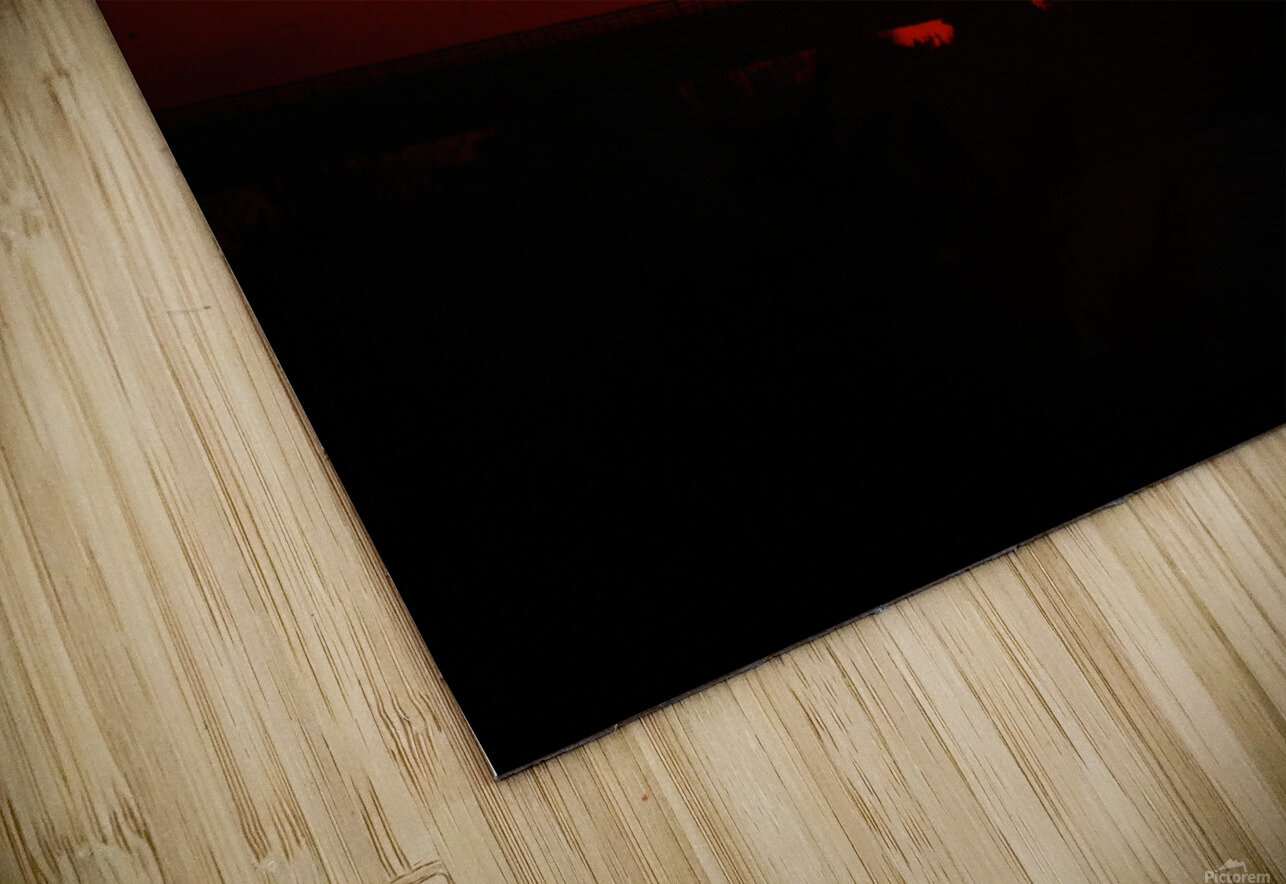 What Happened To The Sunset Karen Silvestri Puzzle