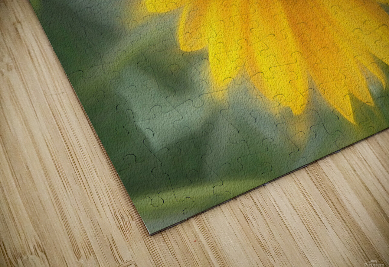 Sunflower In Chalk Karen Silvestri Puzzle