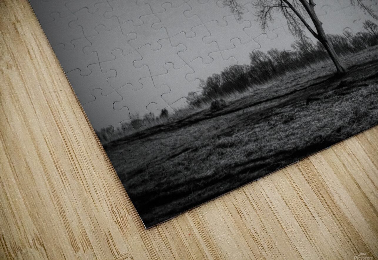 Alone In A Meadow Karen Silvestri Puzzle