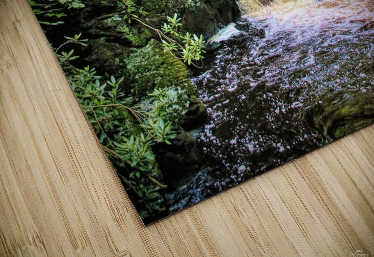 Upper Gorge At Bushkill Falls Karen Silvestri Puzzle