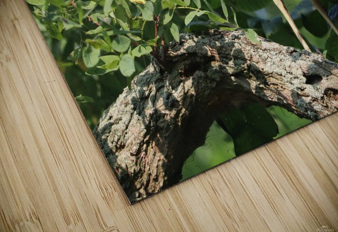 I Thought I Could Hide Karen Silvestri Puzzle