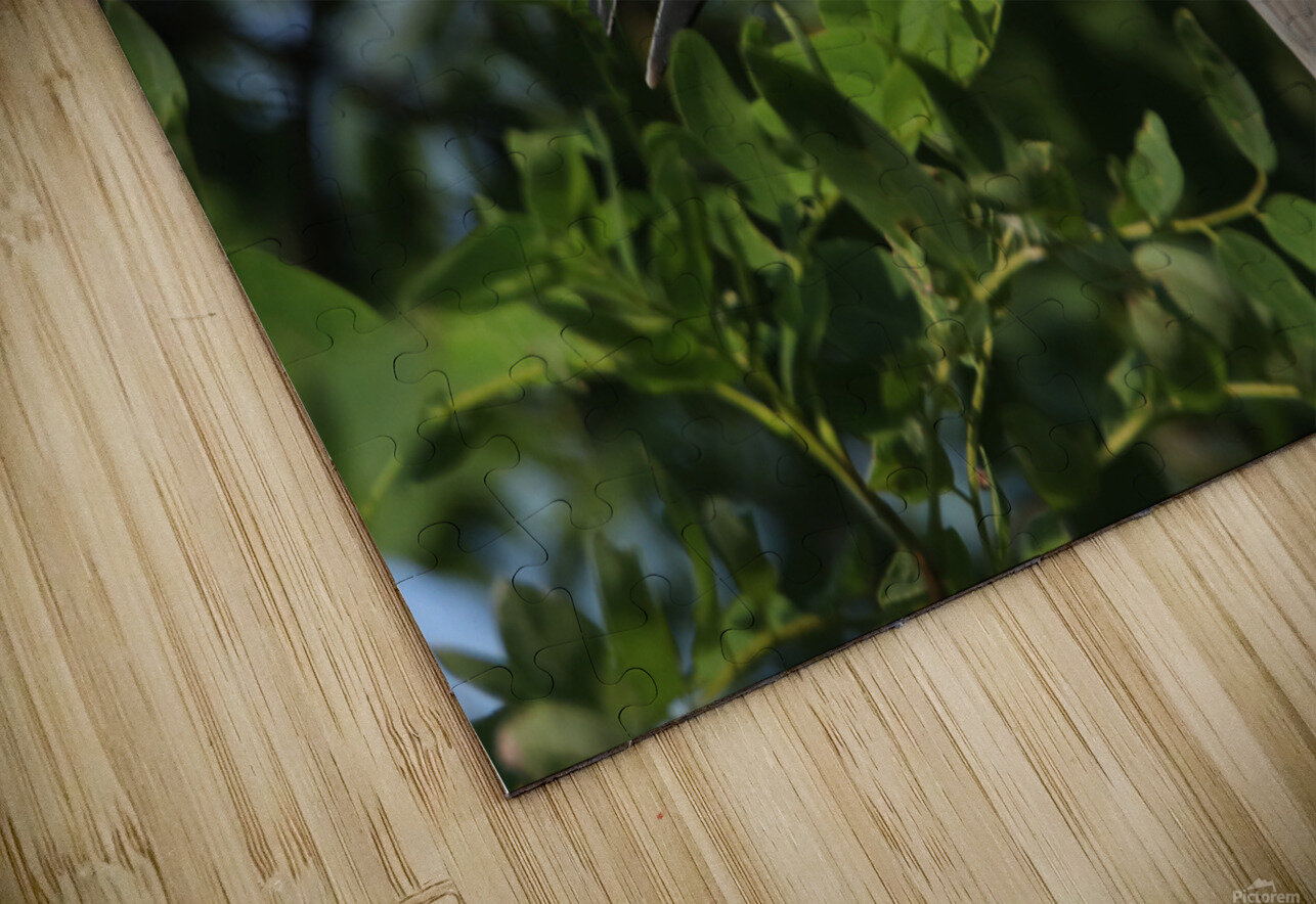 Love My Profile Karen Silvestri Puzzle