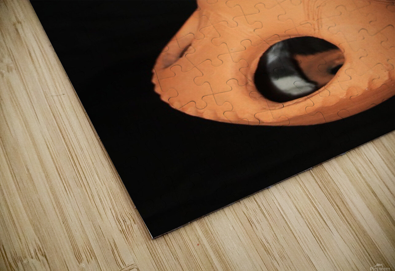 Lady Oscar Karen Silvestri Puzzle