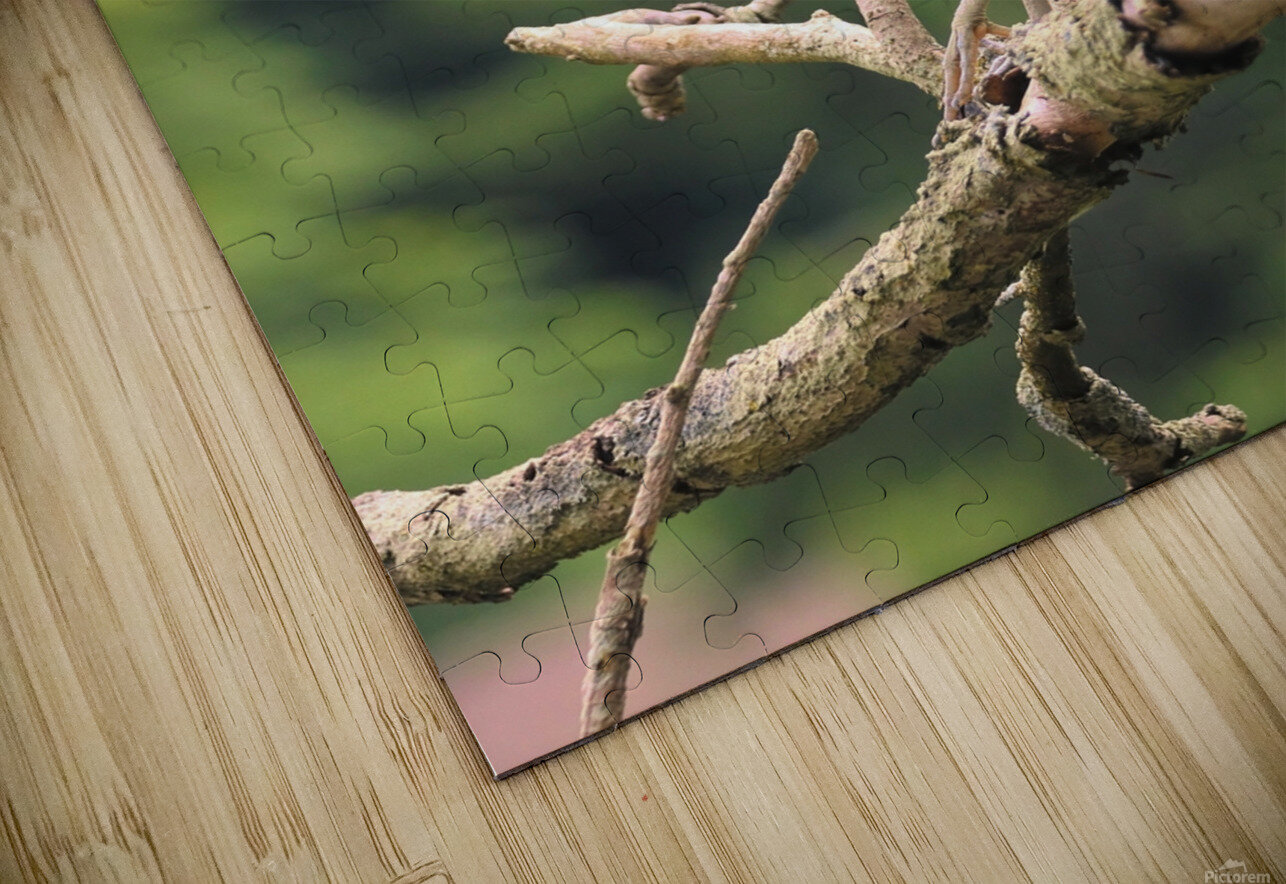 Studious Yellow Crown Karen Silvestri Puzzle