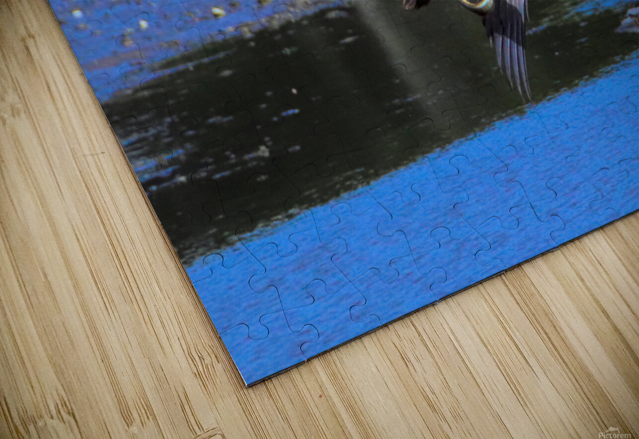 Baby s First Catch Karen Silvestri Puzzle