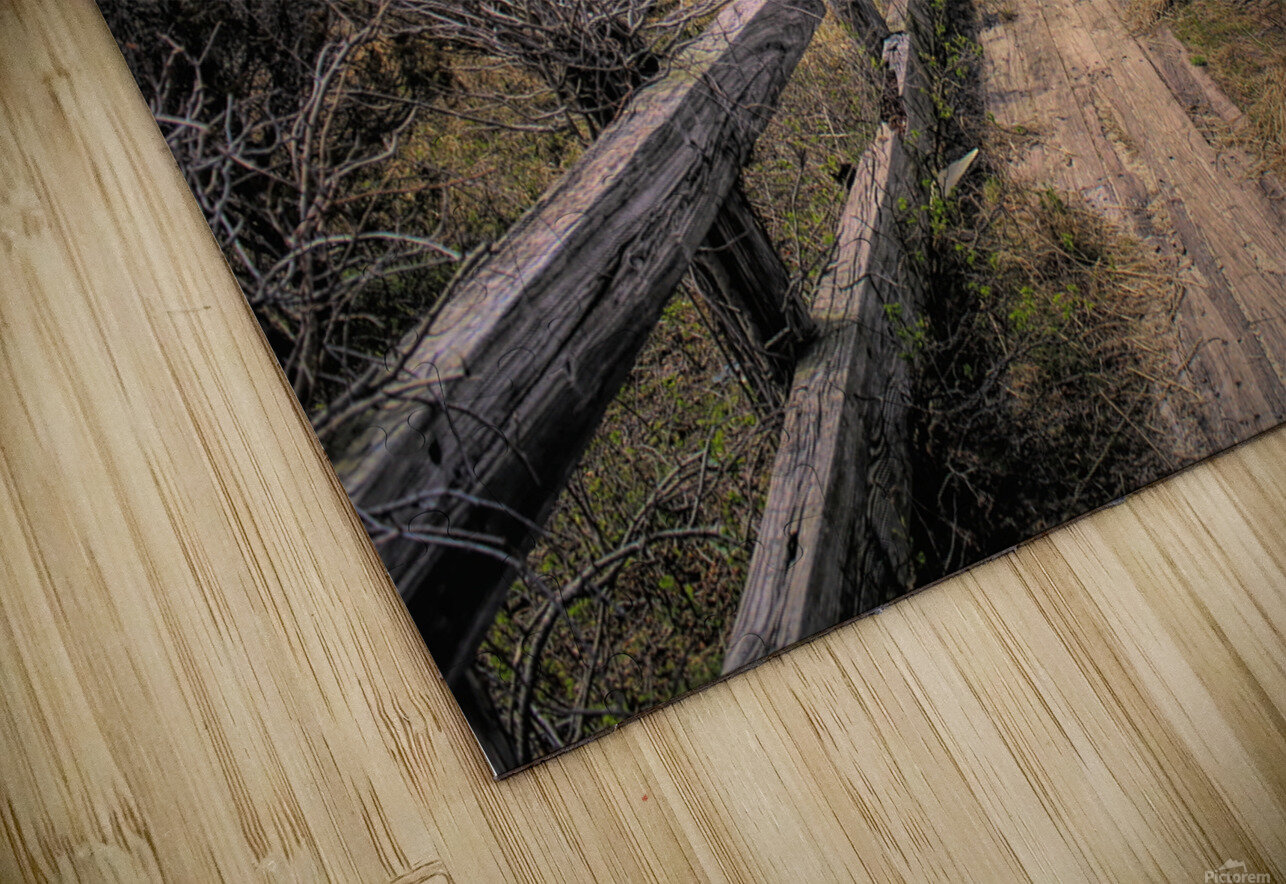 Path Along The Sound Karen Silvestri Puzzle