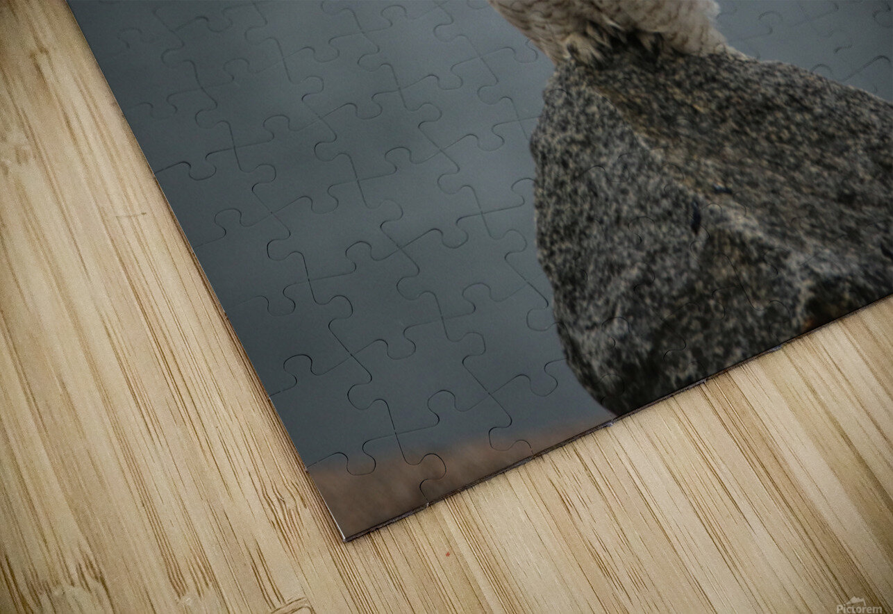 Fog and Snowy Karen Silvestri Puzzle