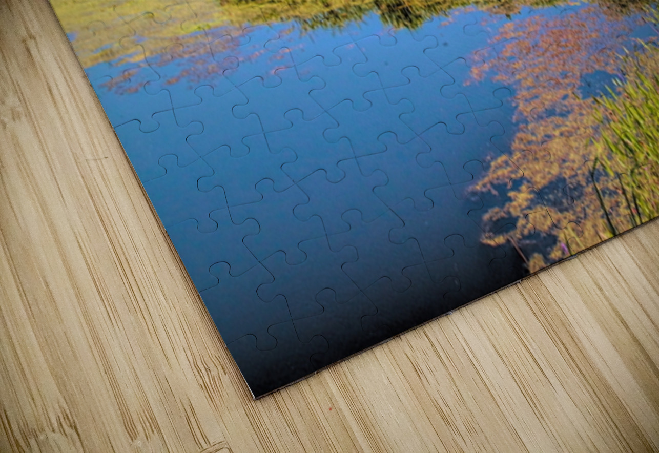 Basha Kill Karen Silvestri Puzzle