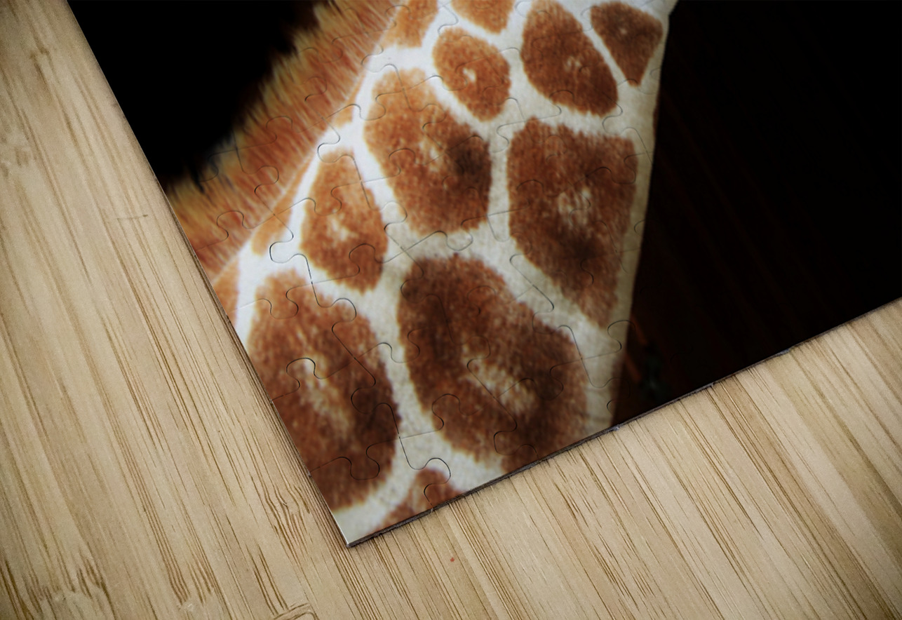 Ollie Giraffe Karen Silvestri Puzzle