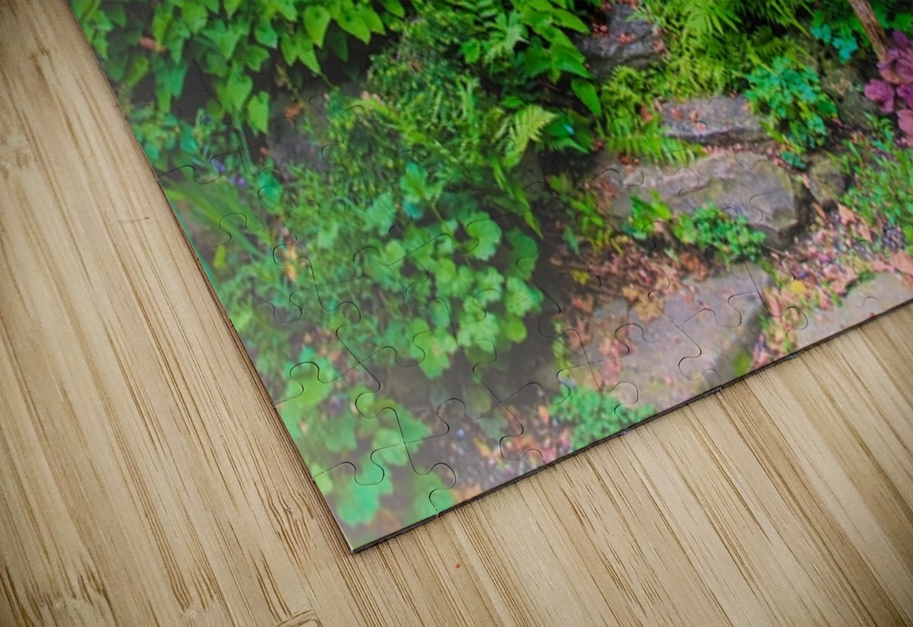 Dream Steps Karen Silvestri Puzzle