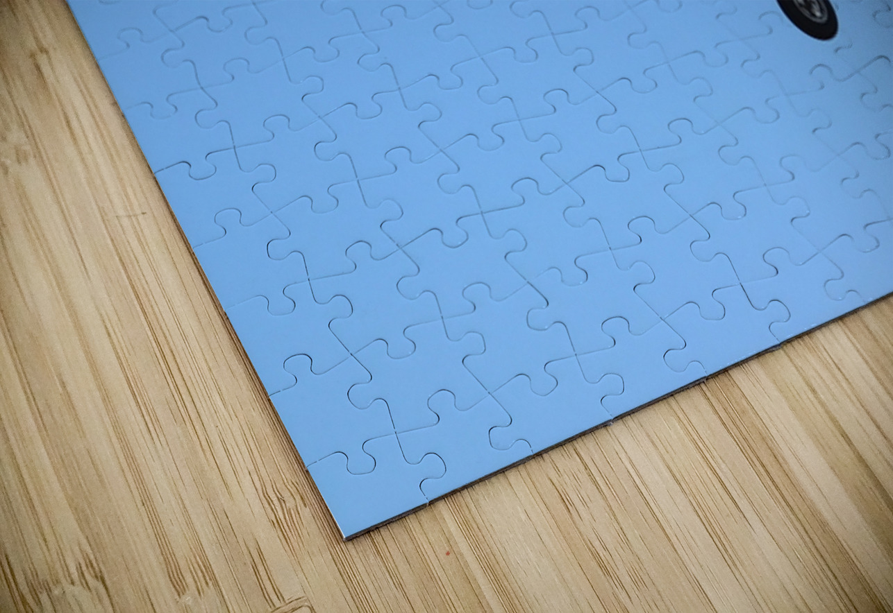 AT 6 Texan Karen Silvestri Puzzle