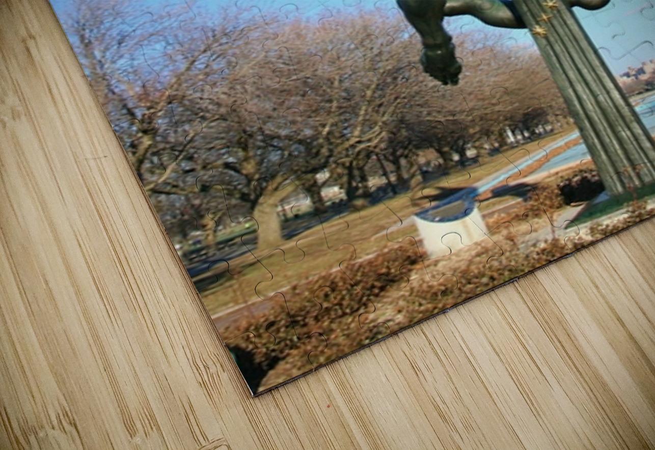 Rocket Thrower Karen Silvestri Puzzle