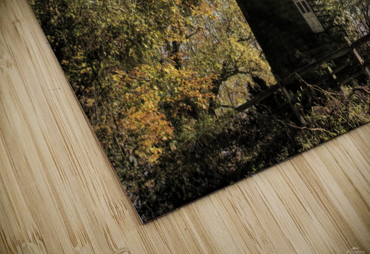 Rapunzels Summer Home Karen Silvestri Puzzle