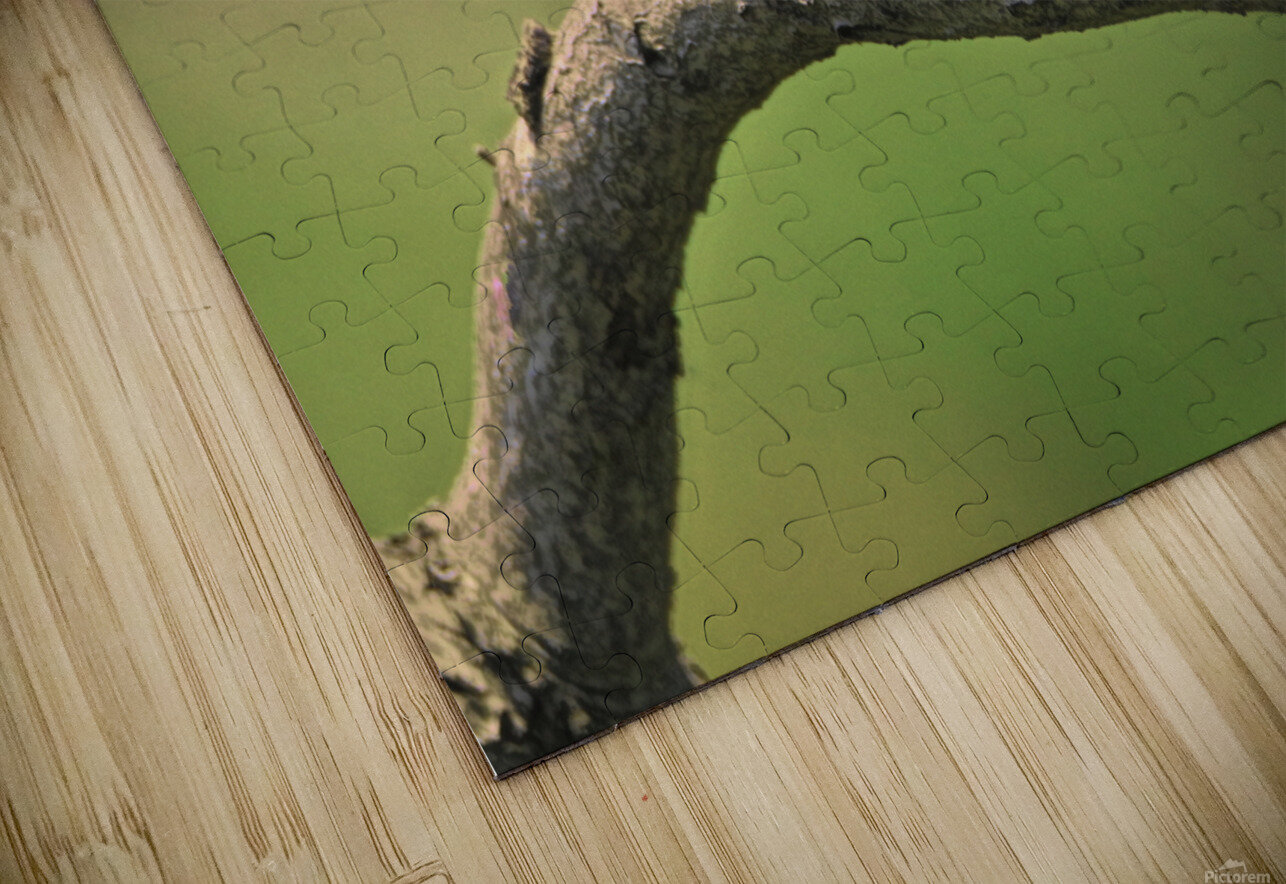 Perched Red Winged Blackbird Karen Silvestri Puzzle