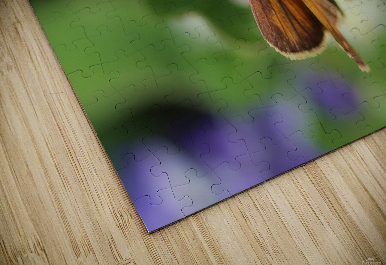 Delaware Skipper Karen Silvestri Puzzle