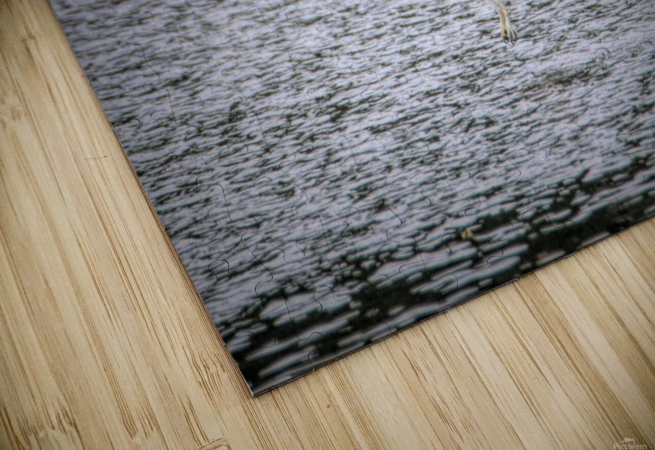 What Will The Osprey Catch Karen Silvestri Puzzle