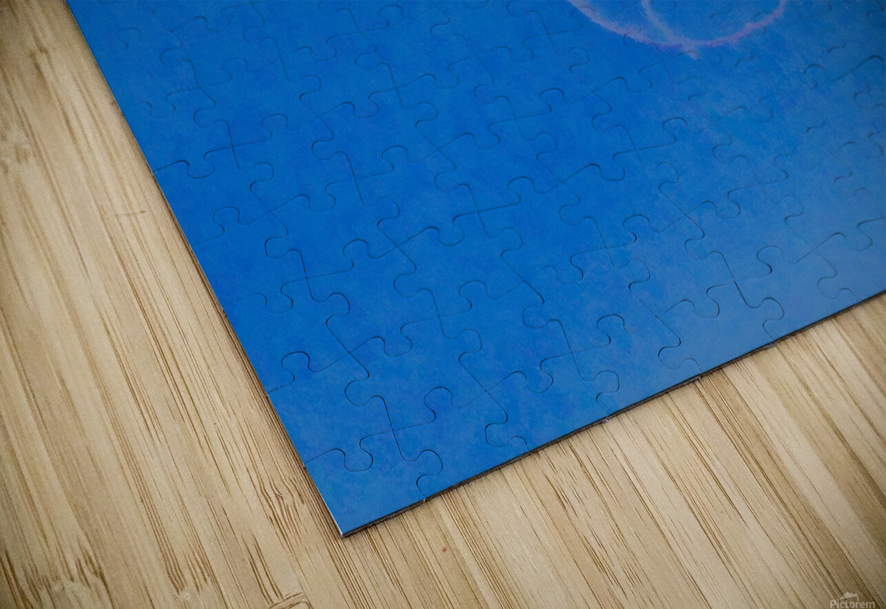 Jellyfish Karen Silvestri Puzzle