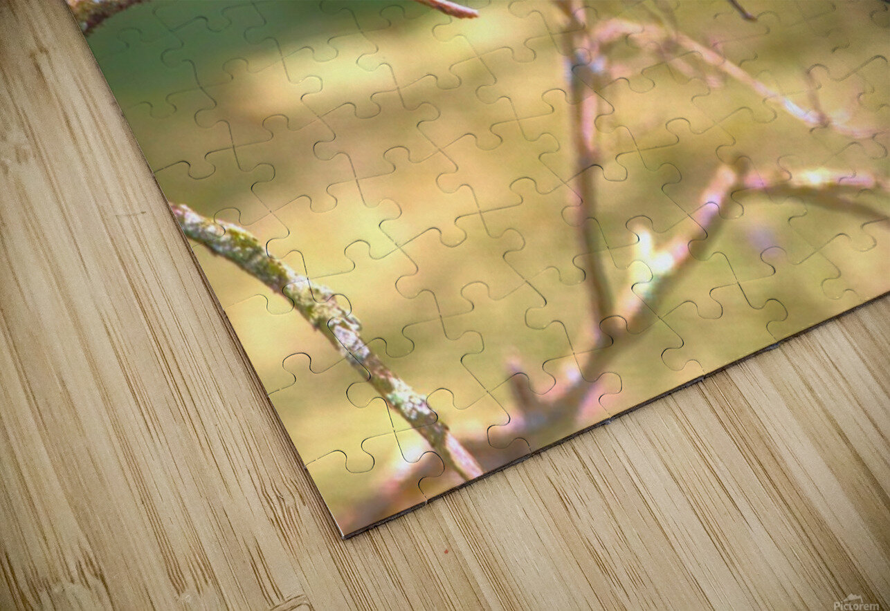 Eastern King Bird Enjoying The Day Karen Silvestri Puzzle