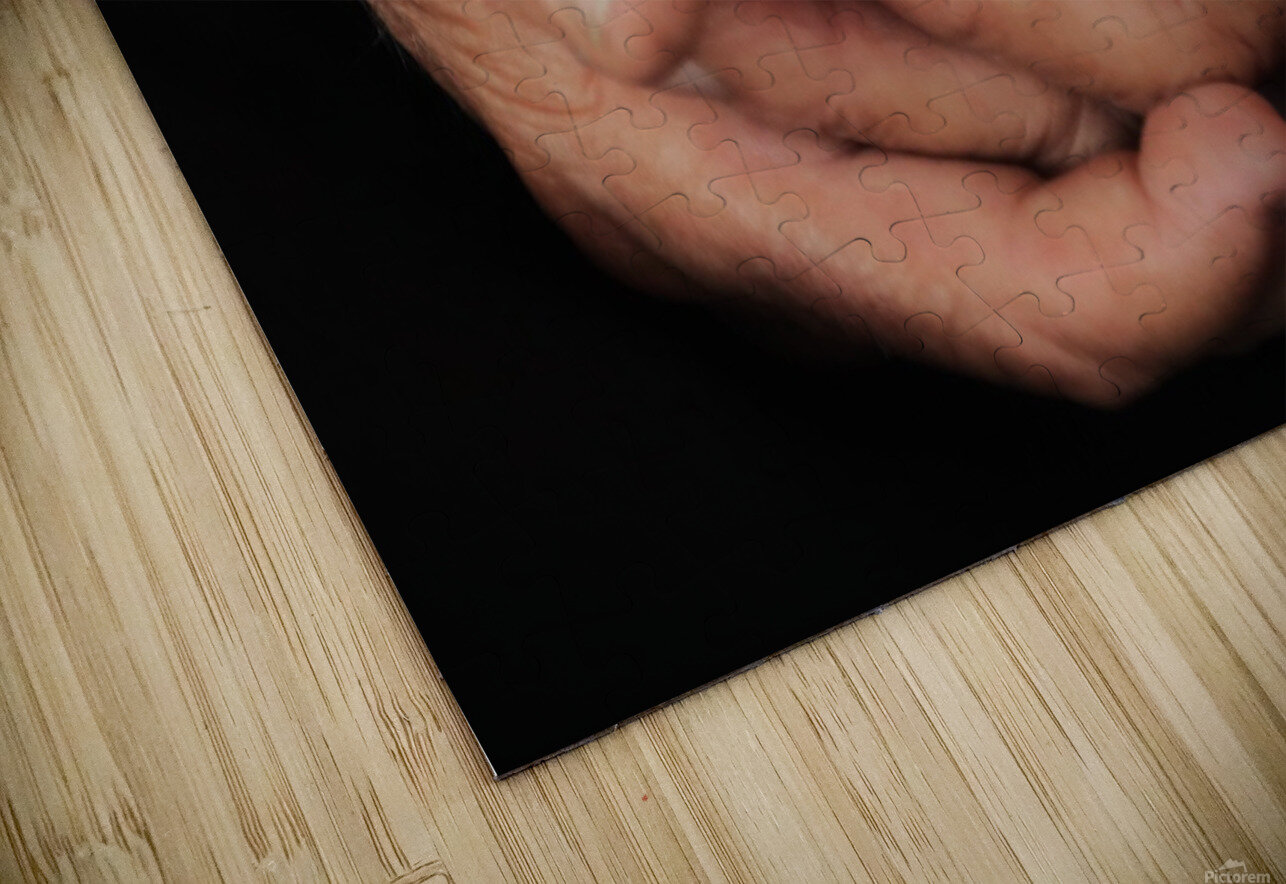 These Hands Karen Silvestri Puzzle