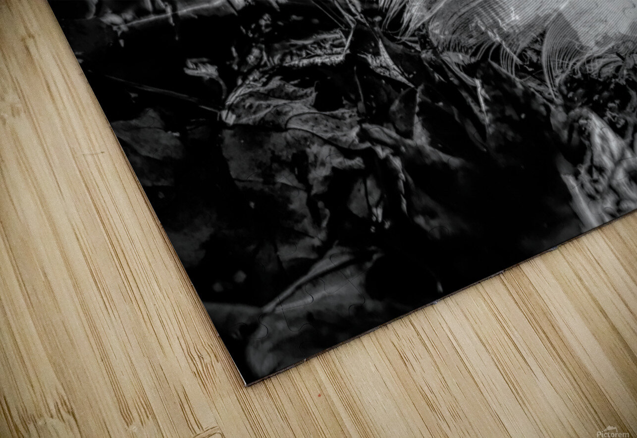 White Feather Karen Silvestri Puzzle