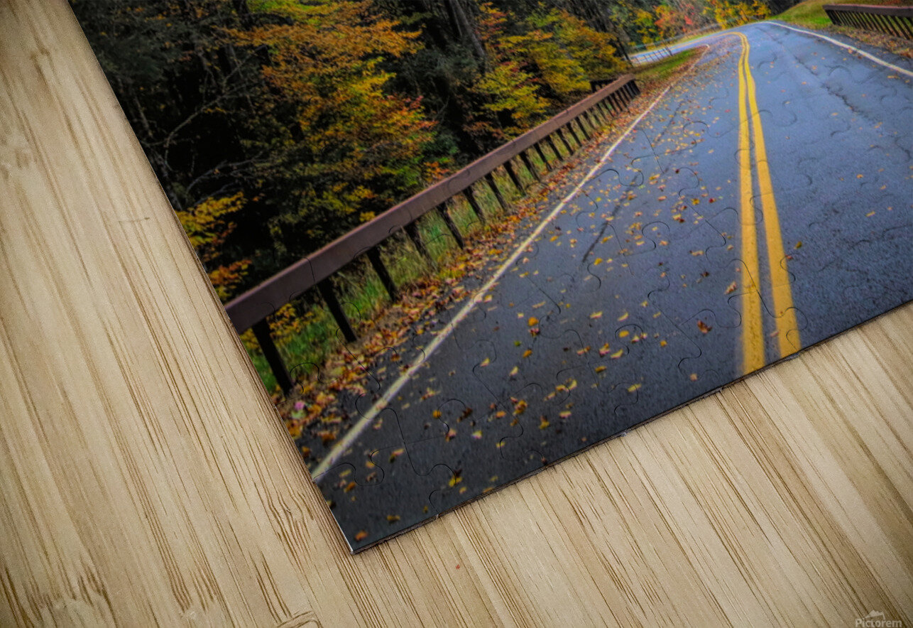 Road Along The Neversink Reservoir Karen Silvestri Puzzle