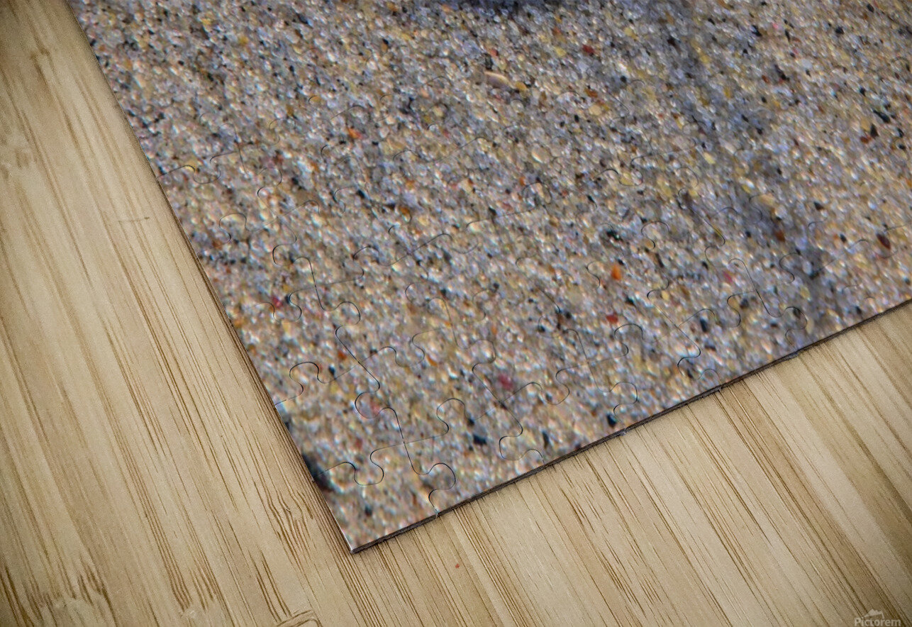 Solo Shell Karen Silvestri Puzzle