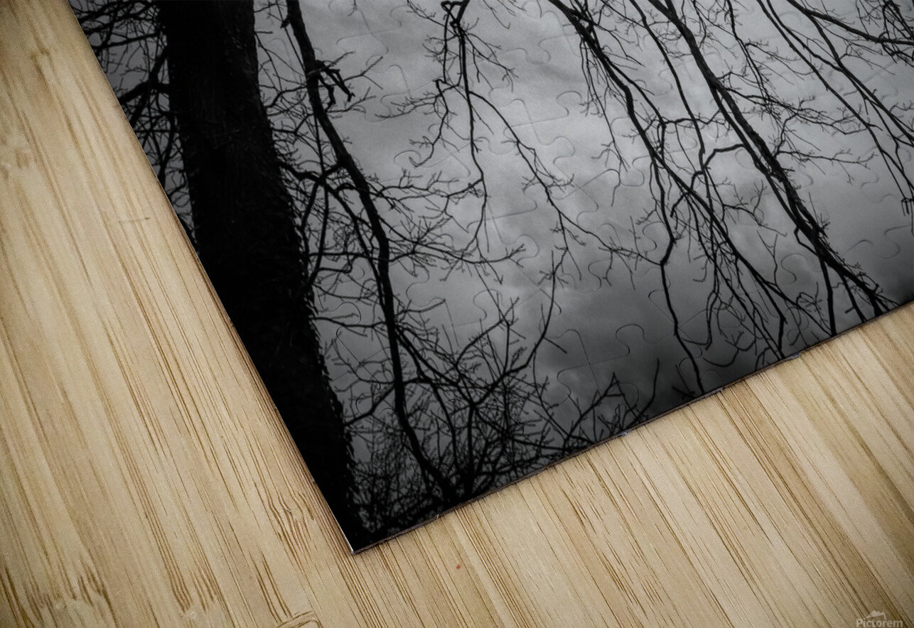 The Naked Tree Silhouette Karen Silvestri Puzzle