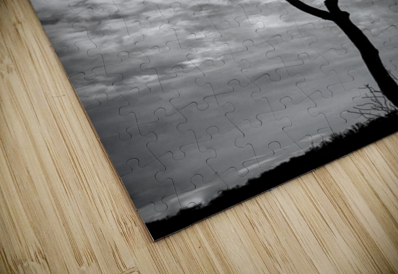 A Snag In Black and White Karen Silvestri Puzzle